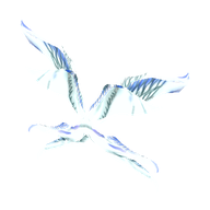 Wing of Eternal [lv3 SM]