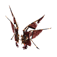 Wings of Bloodshed [lv4 GC]